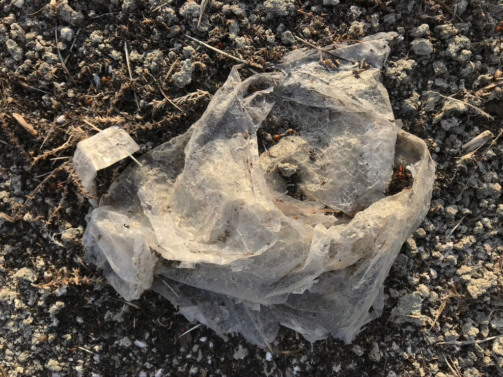 plastic bag