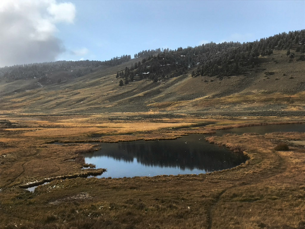 north yellowstone